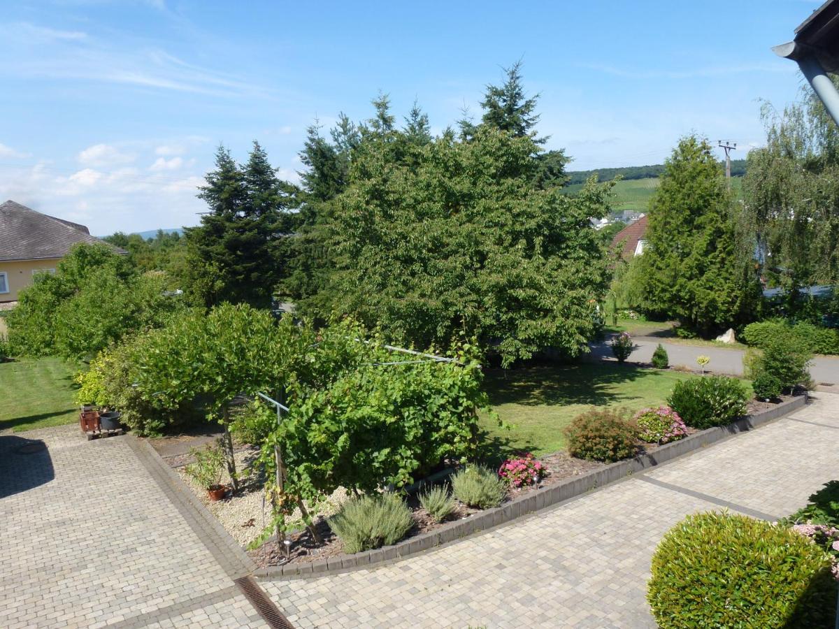Weingut Harald Ludwig Apartment Osann-Monzel Exterior photo